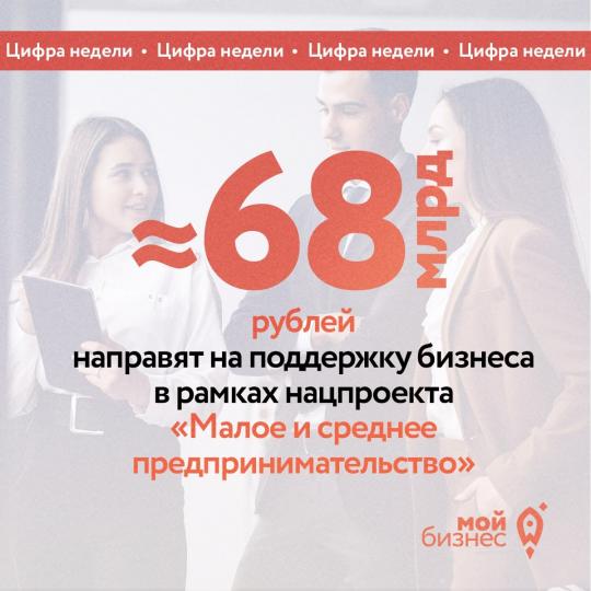 Почти 68 млрд рублей направят на поддержку бизнеса в рамках нацпроекта «Малое и среднее предпринимательство»