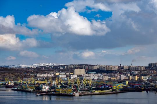 13 мая стартует прием заявок от самозанятых граждан города Мурманска на предоставление субсидий