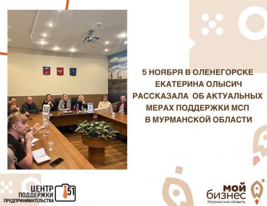 5 ноября, Екатерина Олысич, руководитель Центра поддержки предпринимательства Мурманской области на встрече с предпринимателями г. Оленегорск, рассказала об актуальных мерах поддержки малого и среднего предпринимательства в Мурманской области