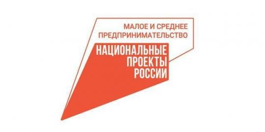 Свыше 215 млрд рублей привлекли МСП под поручительства региональных гарантийных организаций